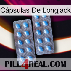 Cápsulas De Longjack viagra4